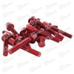 PIAGGIO/GILERA varžtų komplektas - Image 3