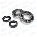 RMS TEFLON (SKF TN9) guol/rieb komplektas, GILERA / PIAGGIO - Image 2