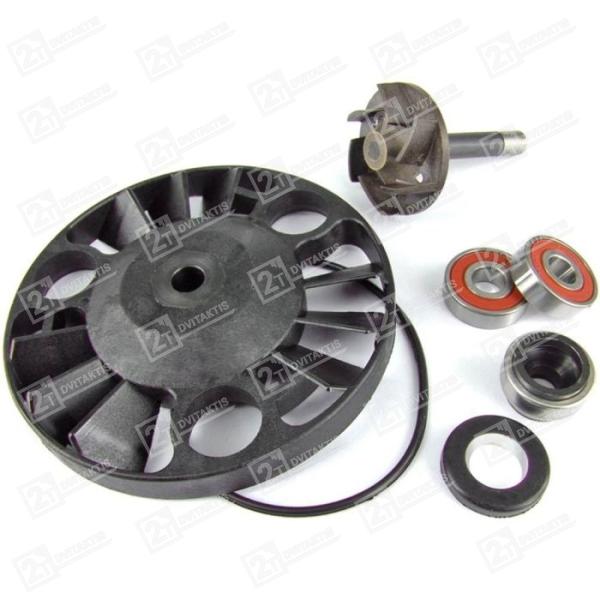Vandens pompos remontinis, PIAGGIO 125 X8 2004-, X9 2001-, BEVERLY 2001-2005, VESPA GTS 2003- / GILERA 125 NEXUS 2005-, RUNNER 2000- / APRILIA 125 ATLANTIC 2003- (OEM : 841333)