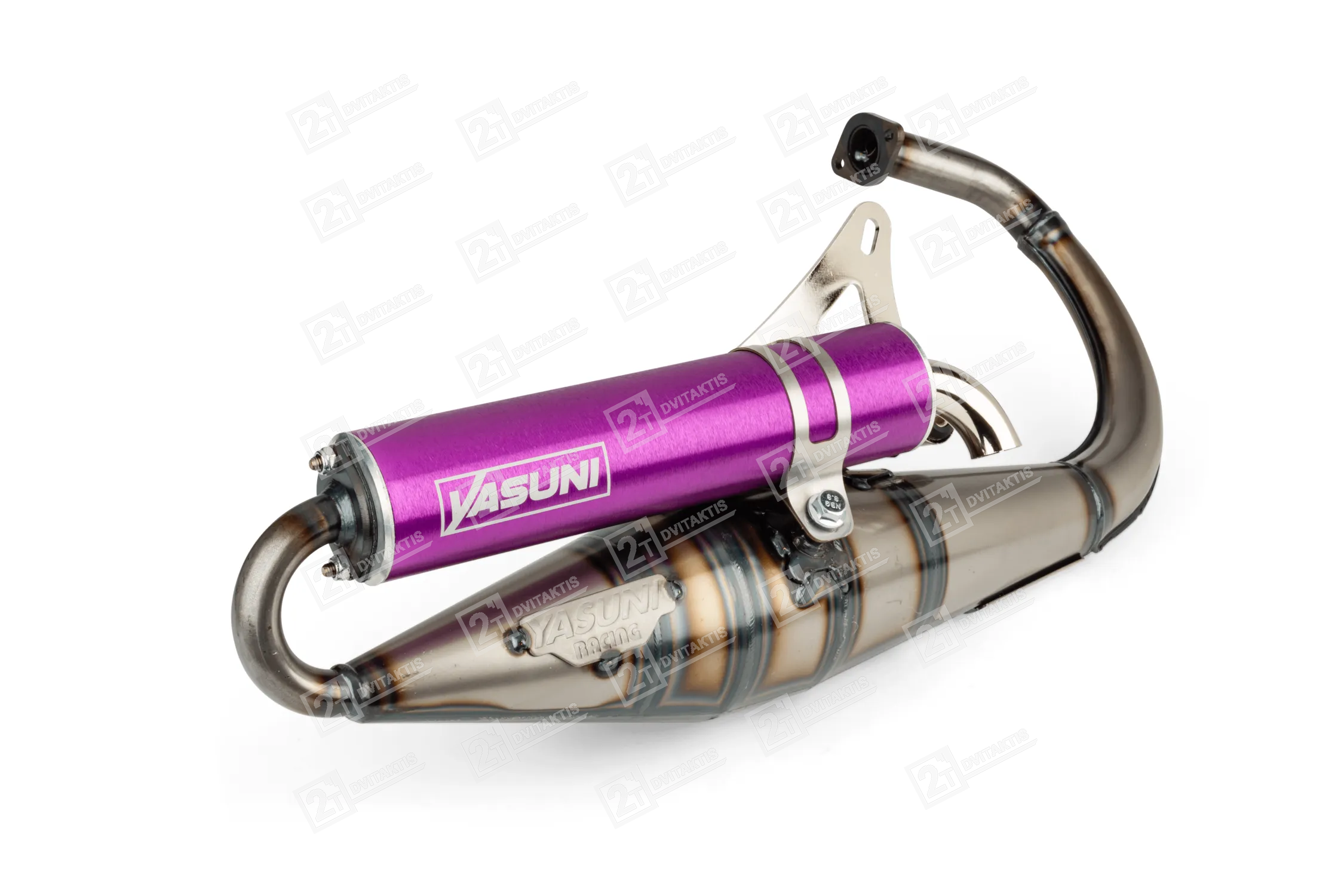 1596040 Yasuni Z PURPLE, MINARELLI VERTICAL - Image 1